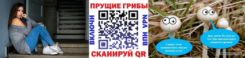 Галлюциногенные грибы GOLDEN TEACHER  ОМГ ОМГ ONION  Шенкурск  наркотики 