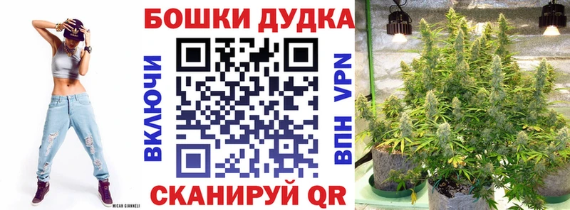 цена наркотик  Шенкурск  Шишки марихуана White Widow 